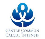 logo C3I