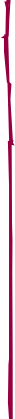 stroke