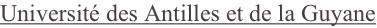 shapeimage_2_link_0
