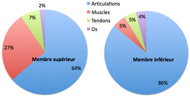 membre