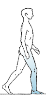 sq15